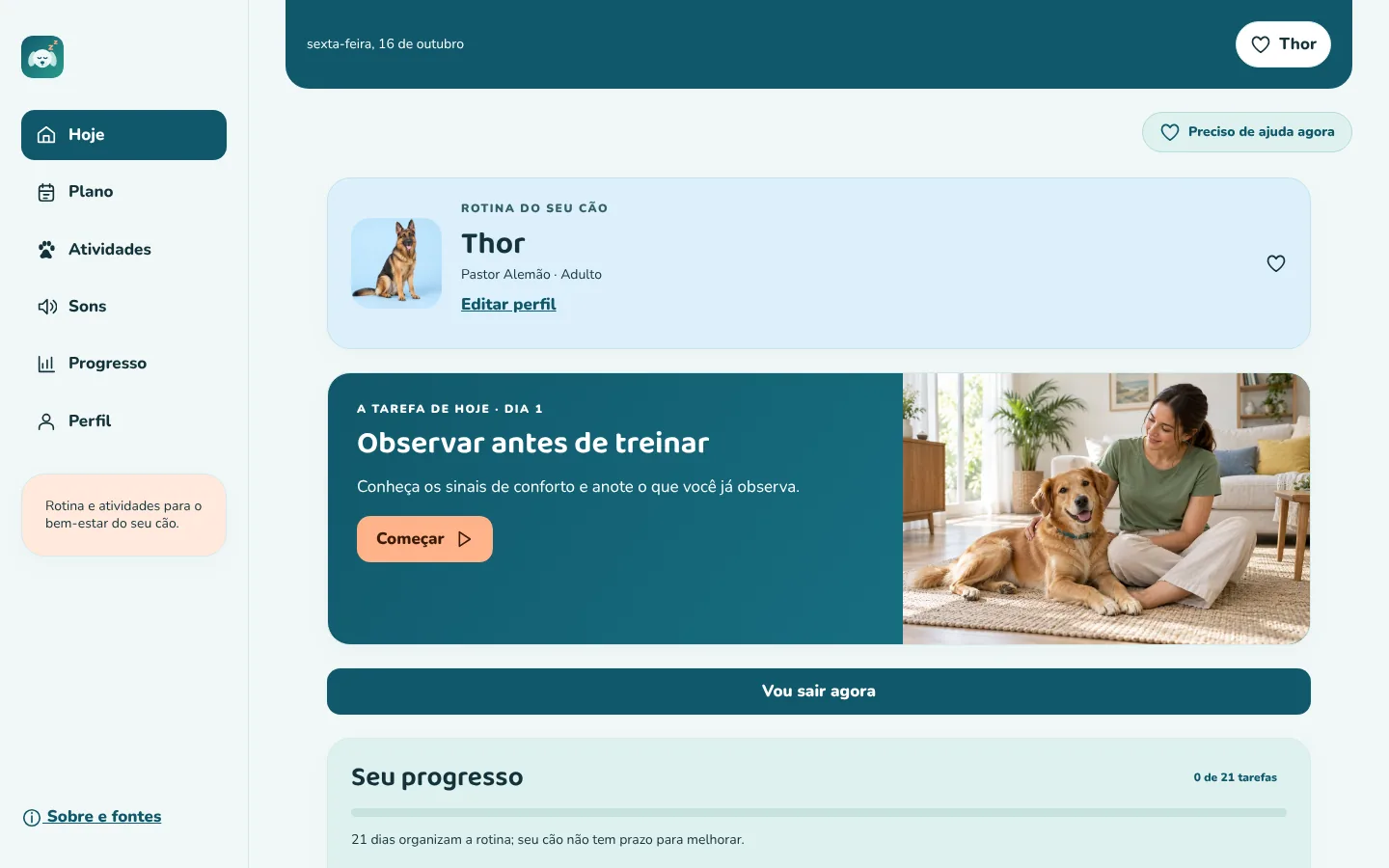 Dog Calm Studio no computador