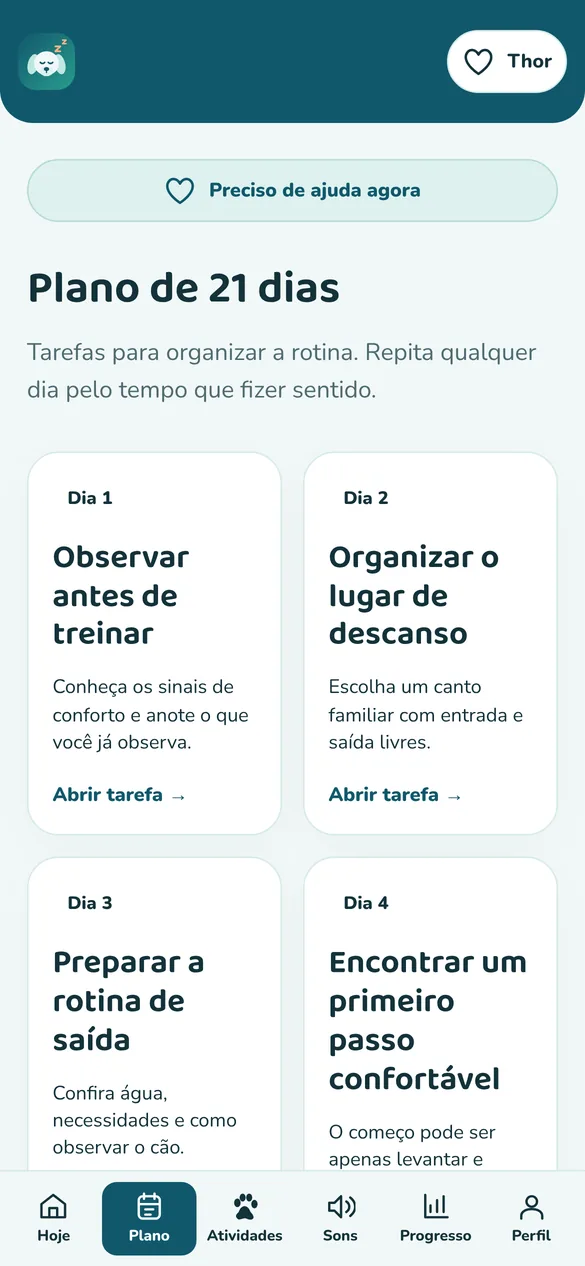 Tela real: plano de 21 dias