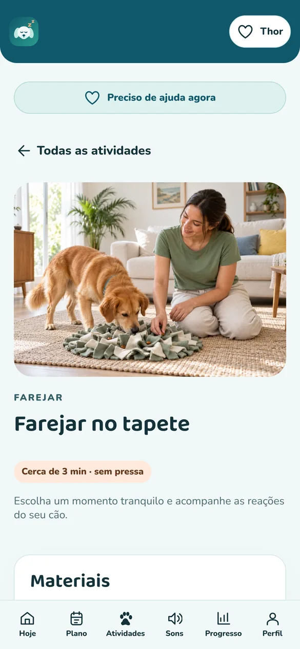 Tela real: atividade com passo a passo